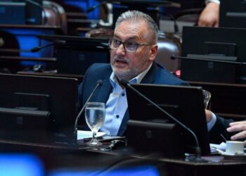 Lewandowski: «Usaron la Ley de Obra Pública para privatizar la Vía Navegable Troncal»