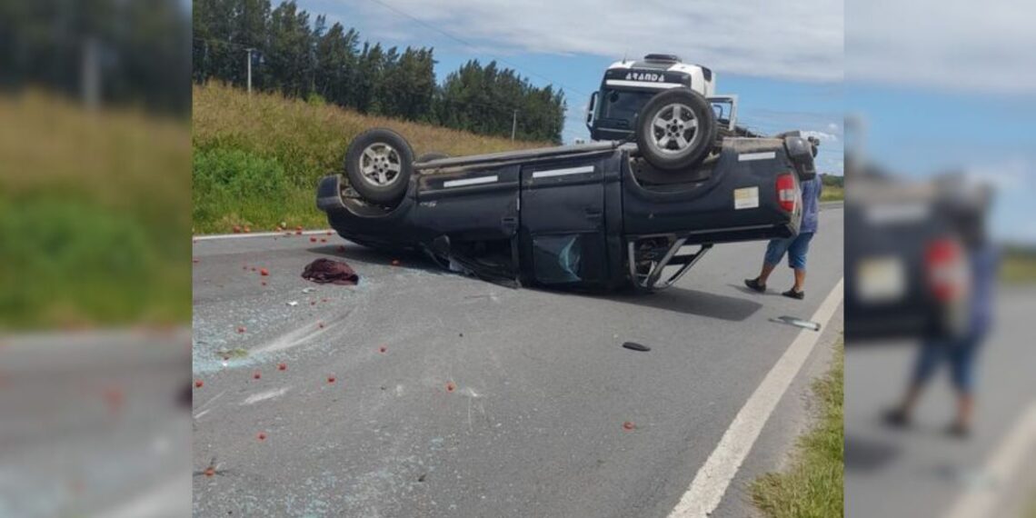 Desvío Arijón: Accidente vial en Ruta 11 deja un herido