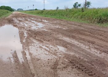 Casalegno: convocan a firmar un pedido por el mal estado de la Ruta Provincial Nº 10