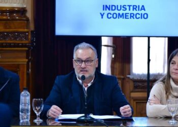 Lewandowski presidirá la Comisión de Industria y Comercio del Senado Nacional
