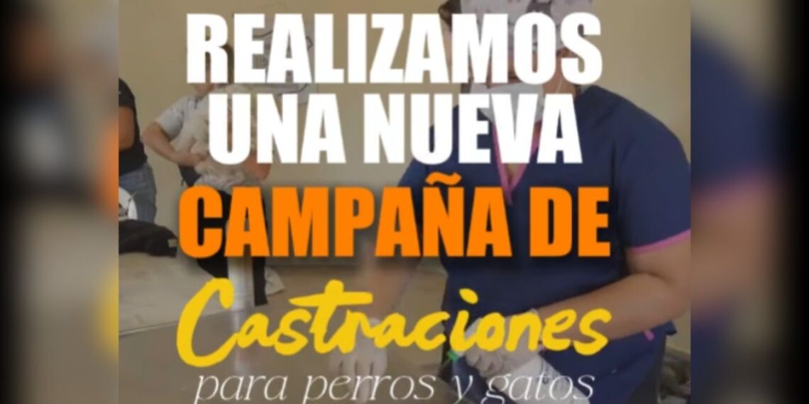 Díaz: la Comuna superó los $600.000 de inversión con recursos propios en jornadas de castración animal