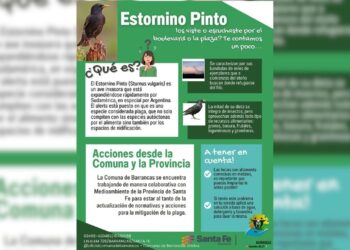 Comunicado Oficial: Información sobre la presencia del estornino pinto en Barrancas